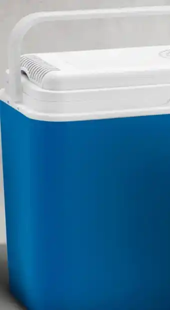 Kühlbox