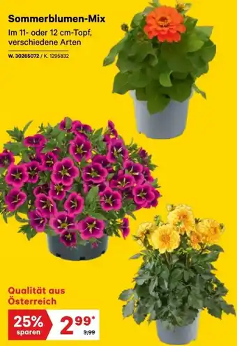 Lagerhaus Sommerblumen-Mix Angebot