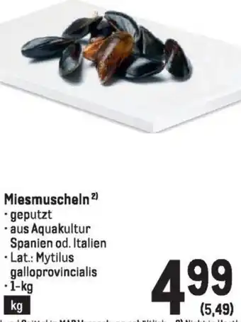 Metro Miesmuscheln Angebot