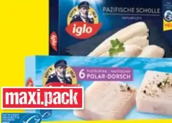 Maximarkt Scholle Angebot