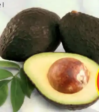 Hofer Avocados Angebot