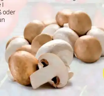 Hofer Champignons Angebot
