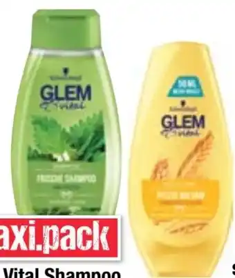 Maximarkt Glem Vital Shampoo Angebot