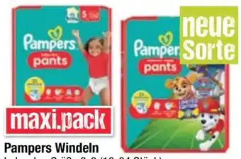 Maximarkt Baby Dry Pants Angebot