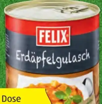 Hofer Fertiggerichte Angebot
