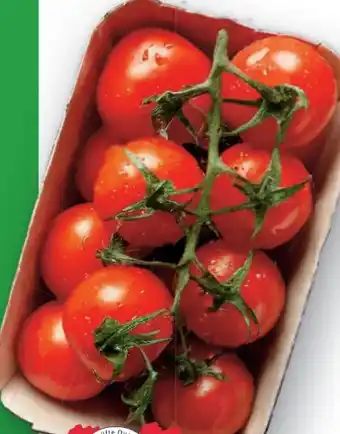 Lidl Cocktailstrauchtomaten Angebot