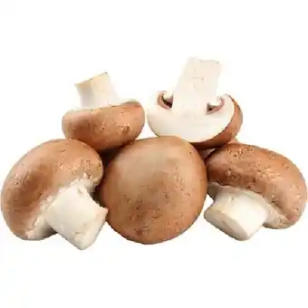PENNY Champignons Weiss od. Braun Penny 500 Gramm 1 Packung Angebot
