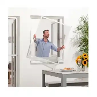 Hofer Home Creation Insektenschutz-/Pollenschutz-Fenster HOFER 1 Stück Angebot