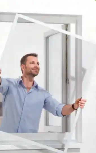 Hofer Insektenschutz-Fenster Angebot