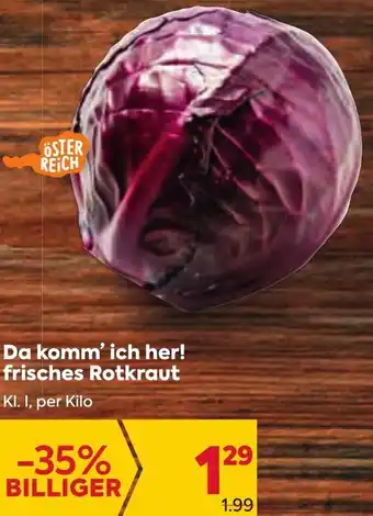 Billa Da Komm'ich Her! Frisches Rotkraut Angebot