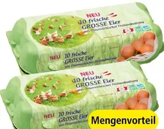 Spar Eier Angebot