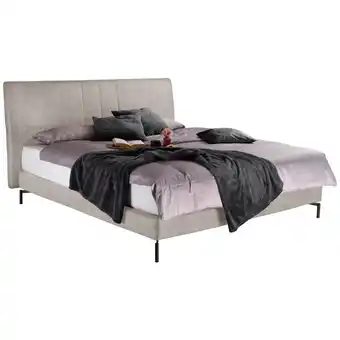 XXXLutz Boxspringbett 160/200 cm in Creme Angebot