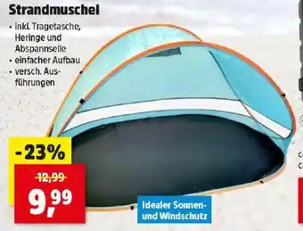 Thomas Philipps Strandmuschel Angebot