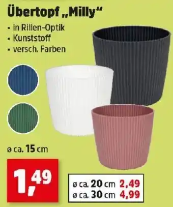 Thomas Philipps Übertopf Milly Angebot