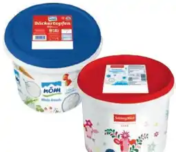 Metro Premium Speisetopfen Angebot