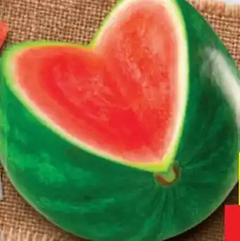 Lidl Baby-Wassermelone Angebot