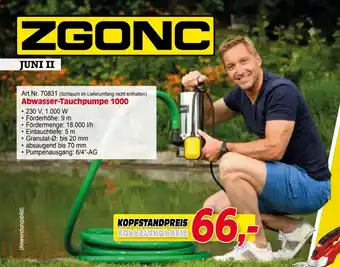 Zgonc Abwasser-Tauchpumpe 1000 Angebot