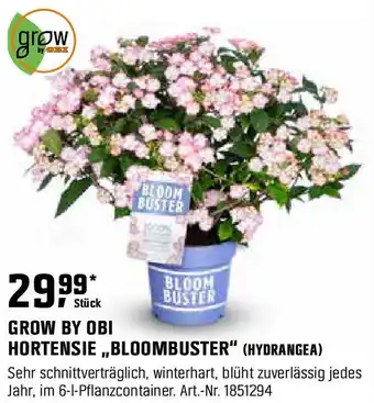 OBI GROW BY OBI HORTENSIE BLOOMBUSTER Angebot