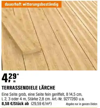 OBI TERRASSENDIELE LÄRCHE Angebot