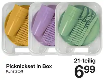 Zeeman Picknickset in Box Angebot