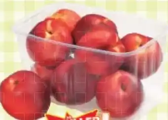 Maximarkt Nektarinen Angebot
