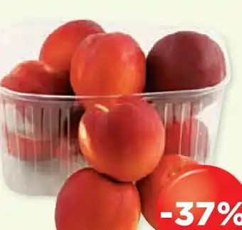 Unimarkt Nektarinen Angebot