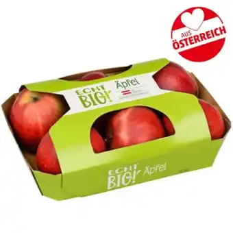 PENNY Echt Bio Äpfel Penny 1 Kilogramm 1 Packung Angebot