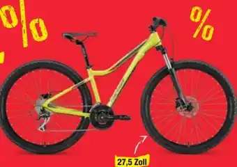 Maximarkt Bike MTB Matts 7.20 Angebot
