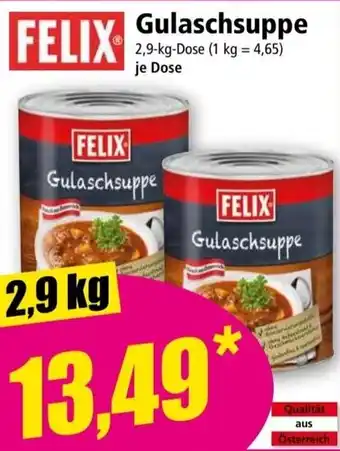 Norma FELIX Gulaschsuppe 2,9-kg Angebot