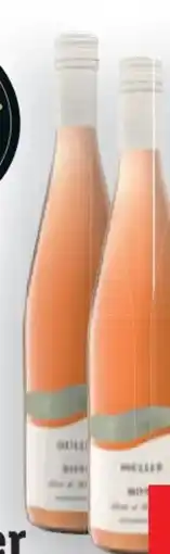 Lidl Rosé Löss & Schotter Angebot