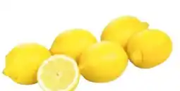 Transgourmet Zitronen Angebot