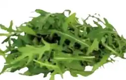 Transgourmet Bio Rucola Angebot