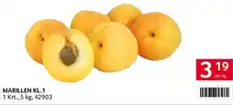 Transgourmet MARILLEN 5kg Angebot