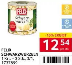 Transgourmet FELIX SCHWARZWURZELN Angebot
