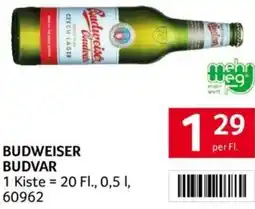 Transgourmet BUDWEISER BUDVAR Angebot