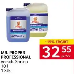 Transgourmet MR. PROPER PROFESSIONAL Angebot