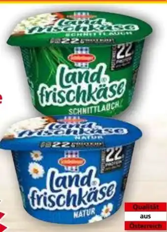 Norma Landfrischkäse Angebot