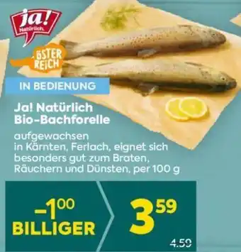 Billa Ja! Natürlich Bio-Bachforelle 100g Angebot