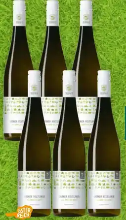 Billa Grüner Veltliner Angebot