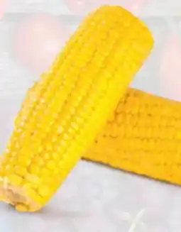 Hofer Zuckermais Angebot