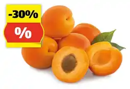 Hofer HOFER MARKTPLATZ Marillen lose Angebot