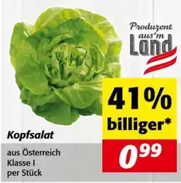Nah&Frisch Kopfsalat Angebot