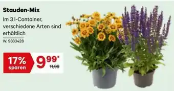 Lagerhaus Stauden-Mix Angebot