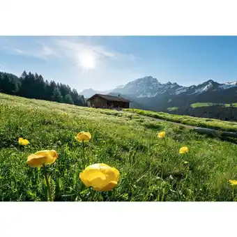 XXXLutz Fototapete 400/280 cm Angebot