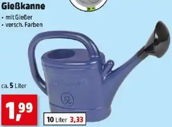 Thomas Philipps Gieẞkanne Angebot