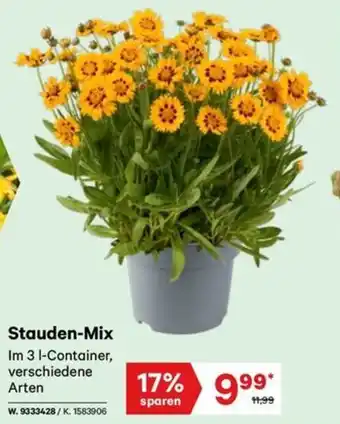Lagerhaus Graz Land Stauden-Mix Angebot