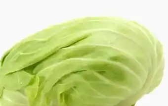 ETSAN Weißkraut Angebot