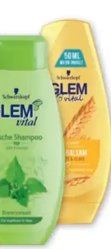 PENNY Glem Vital Shampoo Angebot