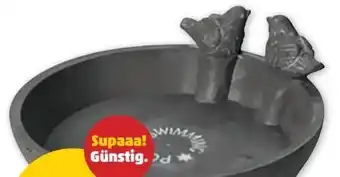 PENNY Vogeltränke Angebot