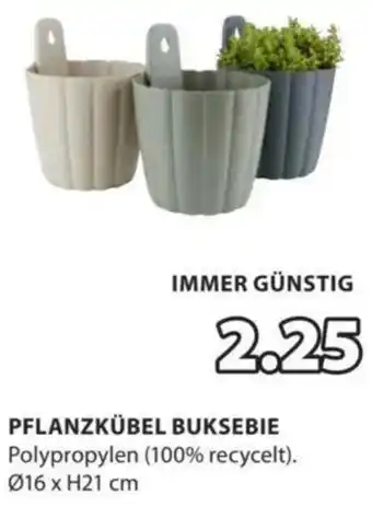 JYSK PFLANZKÜBEL BUKSEBIE Angebot